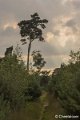 _DSC0126