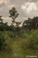 _DSC0128