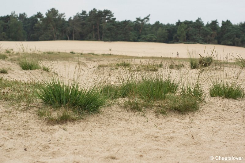 _DSC0001.JPG - Huis ter Heide