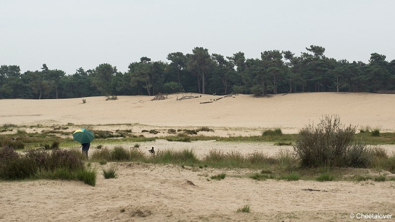 _DSC0005.JPG - Huis ter Heide