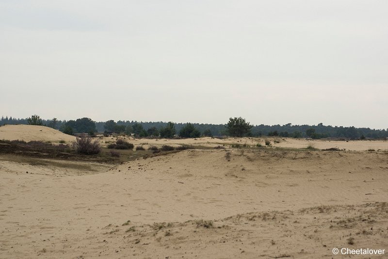 _DSC0019.JPG - Huis ter Heide