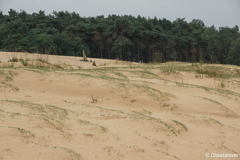 _DSC0037.JPG - Huis ter Heide
