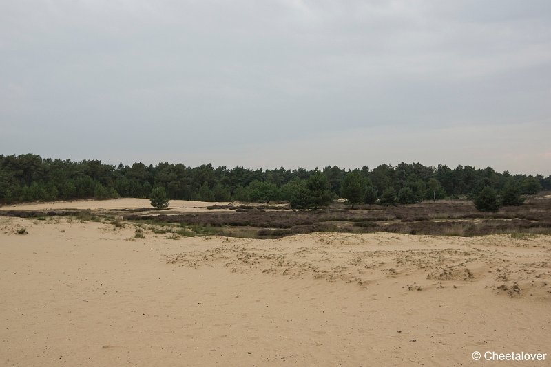 _DSC0040.JPG - Huis ter Heide