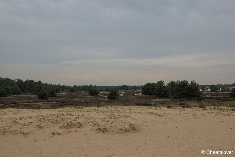 _DSC0044.JPG - Huis ter Heide