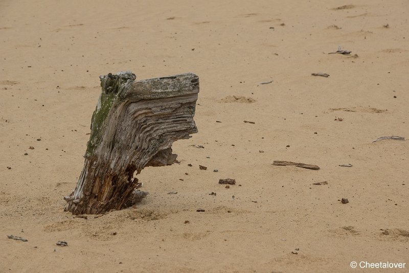_DSC0048.JPG - Huis ter Heide