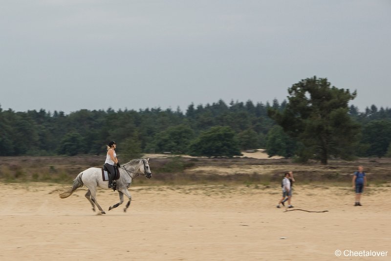 _DSC0056.JPG - Huis ter Heide