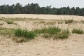 _DSC0001