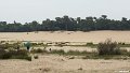 _DSC0005