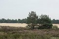 _DSC0012
