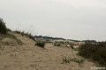 _DSC0013