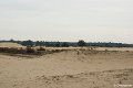 _DSC0019