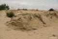 _DSC0030