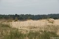 _DSC0036