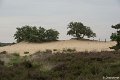 _DSC0066