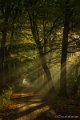 _DSC0006