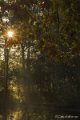 _DSC0022