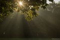 _DSC0029