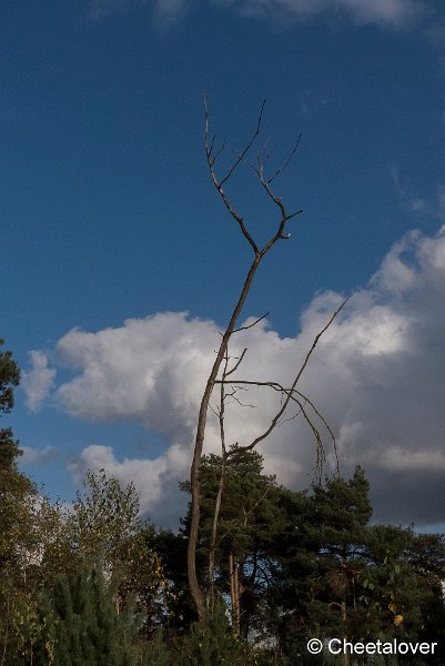 P1370835.JPG - Huis ter Heide