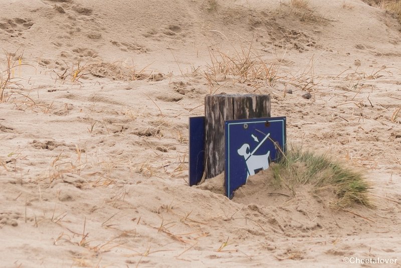 P1380340.JPG - 2018-03-11 Loonse en Drunense Duinen