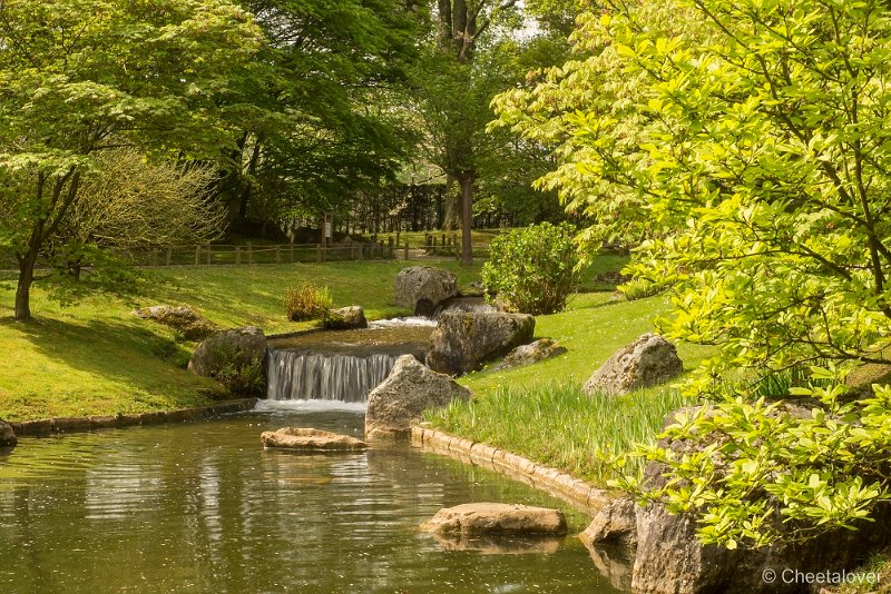 _DSC0164.JPG - Japanse Tuin, Hasselt, Berlgië