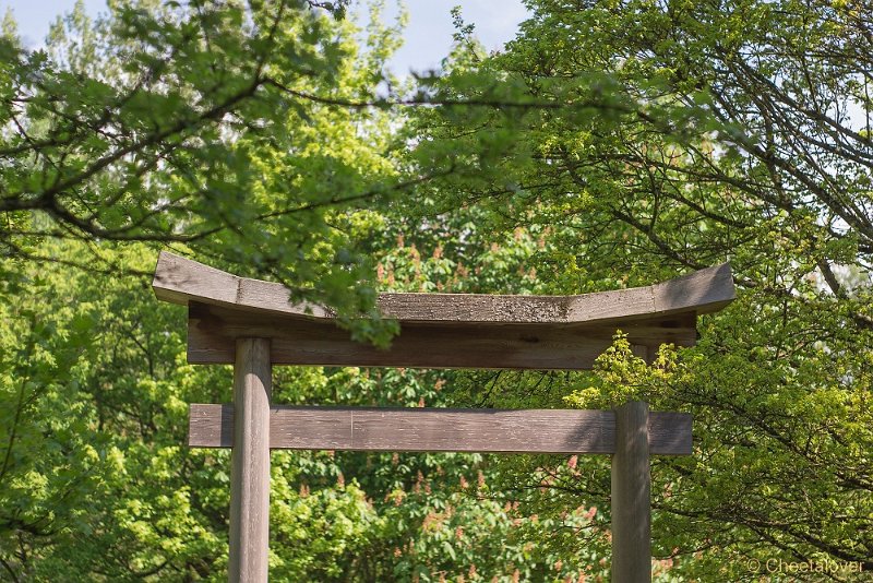 _DSC0199.JPG - Japanse Tuin, Hasselt, Berlgië