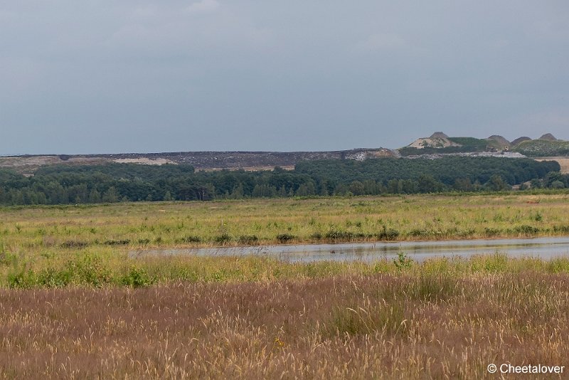 P1390365.JPG - Huis ter Heide