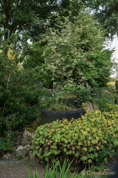 _DSC0113.JPG - Siertuin Het Arendsnest in Lozen, België