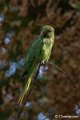 _DSC0005