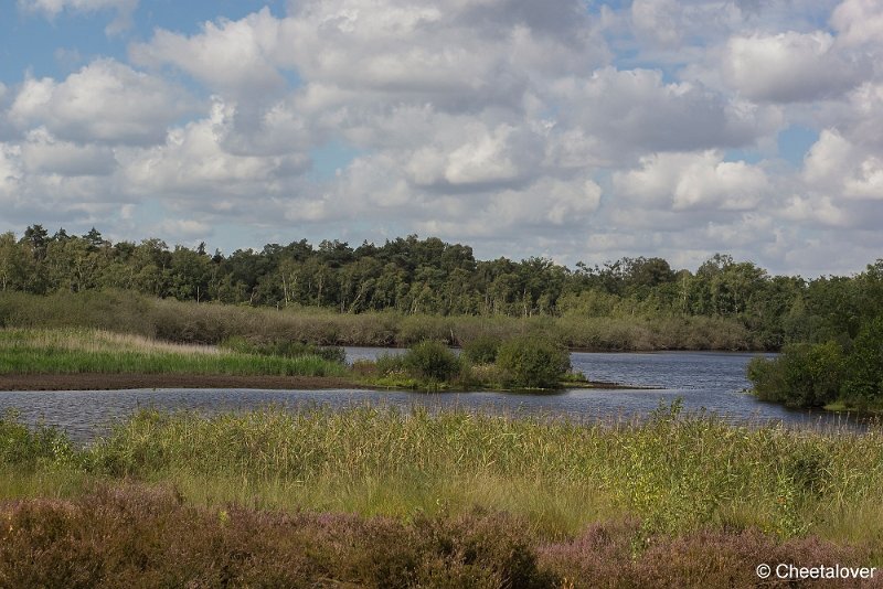 _DSC0016.JPG - Kampina