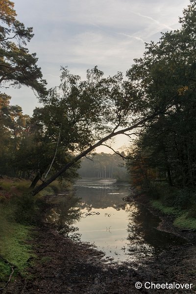 _DSC0069.JPG - Oisterwijkse Vennen en Plassen