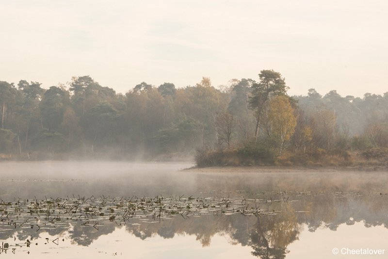 _DSC0138.JPG - Oisterwijkse Vennen en Plassen