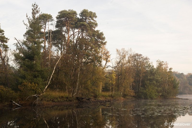 _DSC0140.JPG - Oisterwijkse Vennen en Plassen