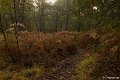 _DSC0129