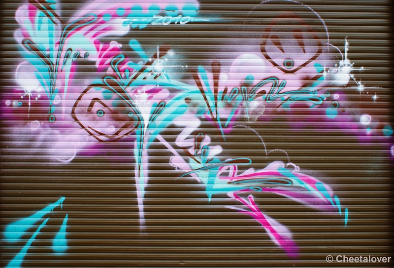 _DSC0112kopie.JPG - Grafitti op raam