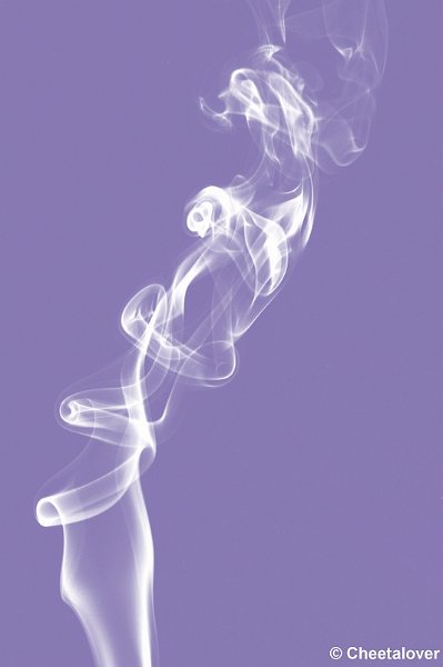 _DSC0067k.JPG - Workshop rook