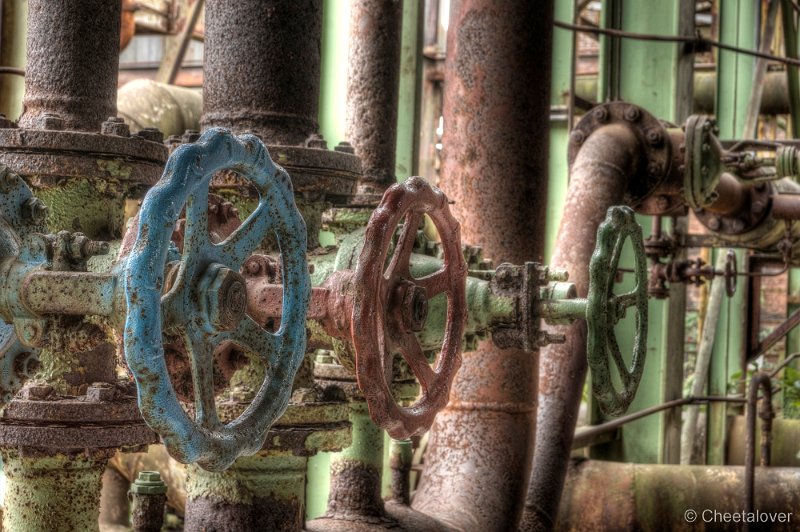 _DSC8462_3_4.JPG - Landschafspark Duisburg