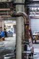 _DSC3711
