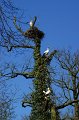_DSC00012