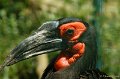 20110602_olmense_zoo