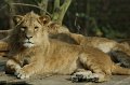_DSC3903kopie