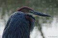 _DSC3962kopie
