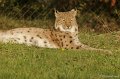 _DSC4087kopie