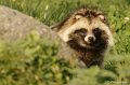 _DSC4093kopie
