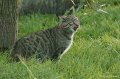 _DSC4142kopie