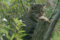 _DSC4145kopie