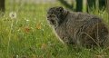_DSC4168kopie