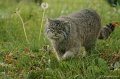 _DSC4177kopie