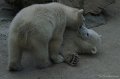 DSC05995