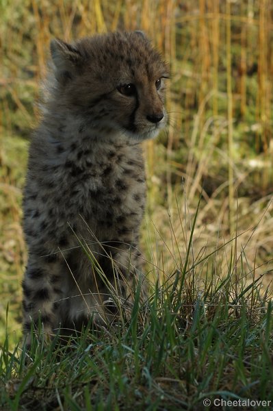 DSC02769.JPG - So cute