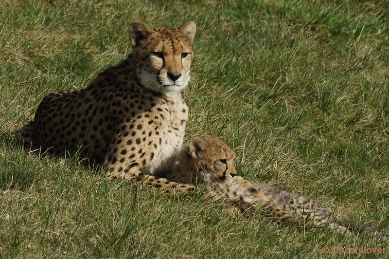 DSC03029.JPG - So cute